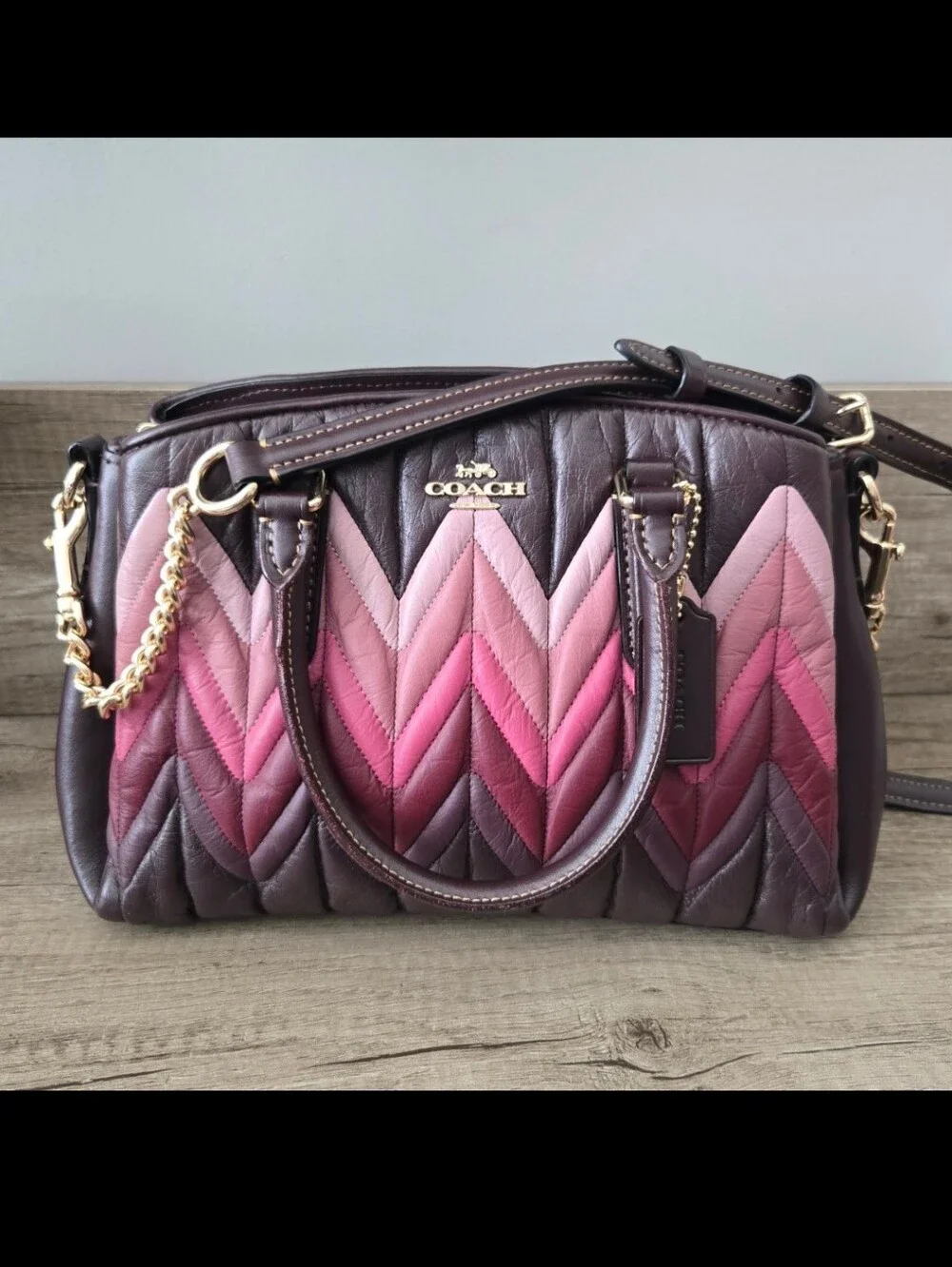 COACH MINI SAGE OMBRE' CARRYALL - Picture 1 of 11
